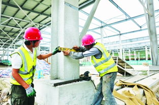 白云农创共享农副产品批发中心预计年底投用，建筑施工进展顺利