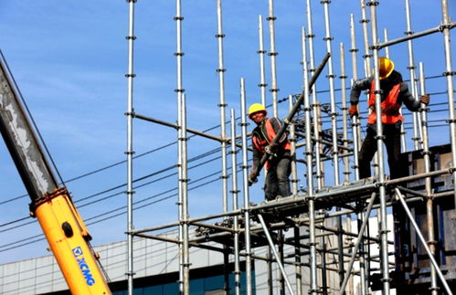 临汾市解放路高架桥工程 城市动脉加速贯通，精细化施工铸就民生新里程